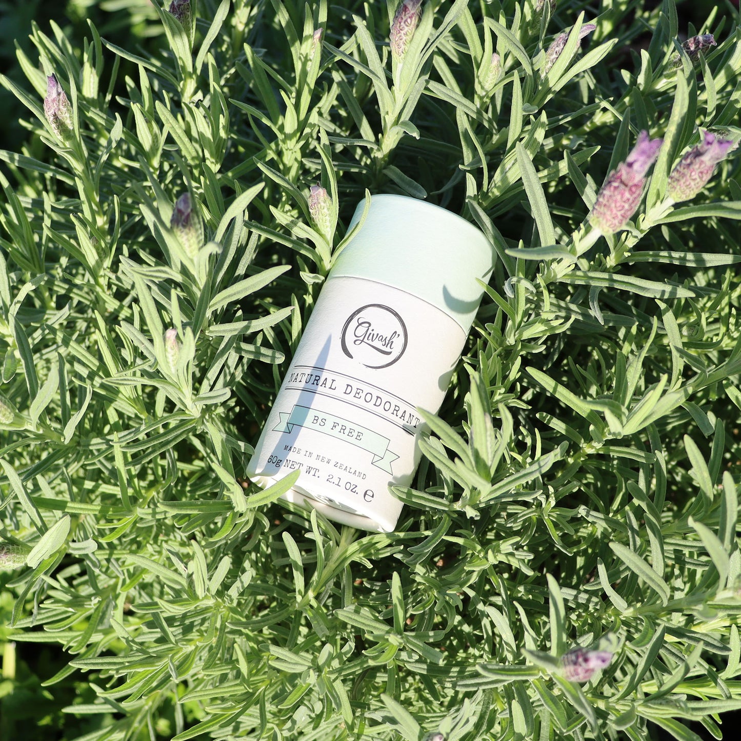 GIVASH Natural Deodorant Stick - BS FREE